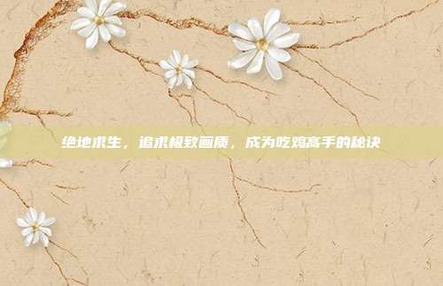 绝地求生,追求极致画质,成为吃鸡高手的秘诀