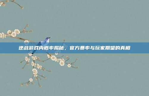 逆战游戏内概率揭秘,官方暴率与玩家期望的真相