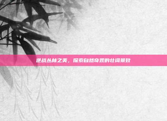 逆战丛林之美,探索自然奇观的壮阔景致