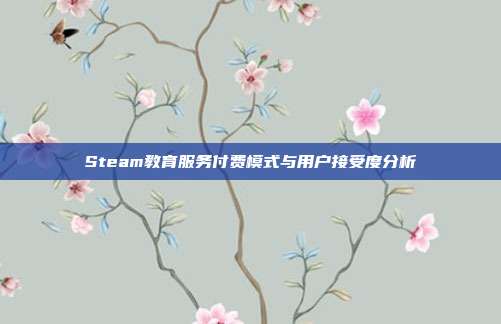 Steam教育服务付费模式与用户接受度分析