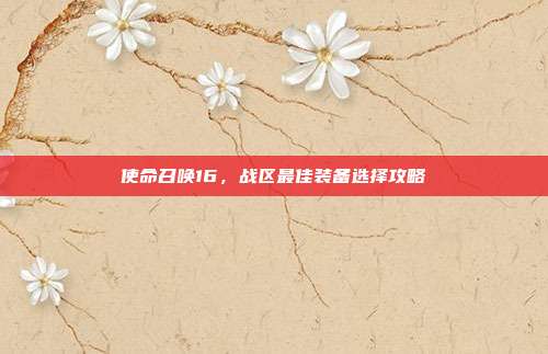 使命召唤16,战区最佳装备选择攻略