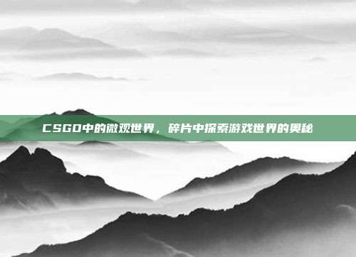 CSGO中的微观世界,碎片中探索游戏世界的奥秘