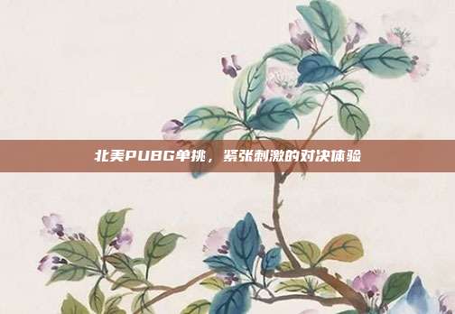北美PUBG单挑,紧张刺激的对决体验