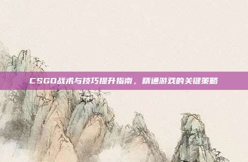 CSGO战术与技巧提升指南,精通游戏的关键策略