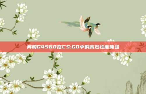 奔腾G4560在CS:GO中的高效性能体验