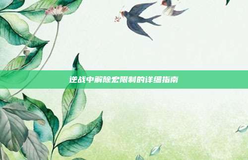 逆战中解除宏限制的详细指南