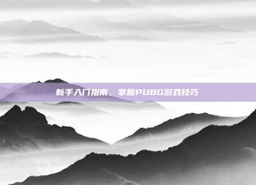 新手入门指南,掌握PUBG游戏技巧