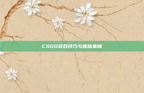 CSGO游戏技巧与趣味集锦