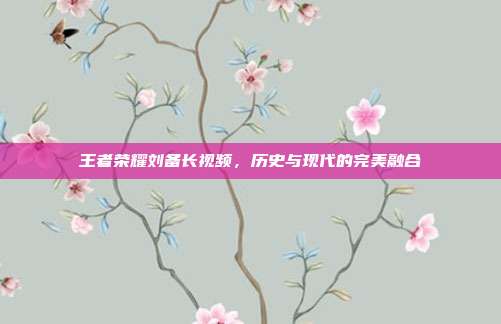 王者荣耀刘备长视频,历史与现代的完美融合