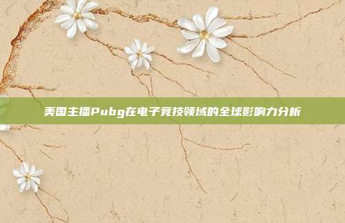 美国主播Pubg在电子竞技领域的全球影响力分析