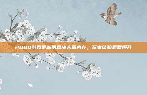PUBG游戏更新后释放大量内存,玩家体验显著提升