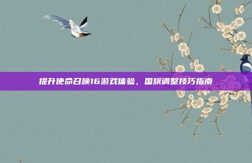 提升使命召唤16游戏体验,国旗调整技巧指南