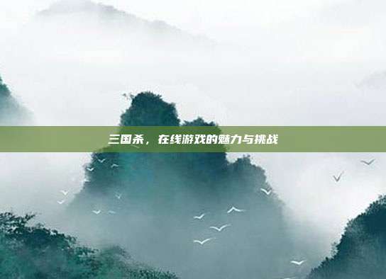 三国杀,在线游戏的魅力与挑战