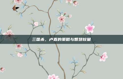 三国杀,卢直的策略与智慧较量