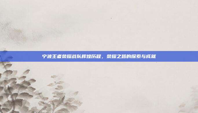 宁波王者荣耀战队辉煌历程,荣耀之路的探索与成就