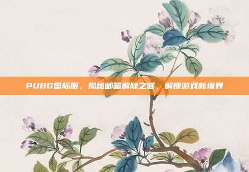 PUBG国际服,揭秘邮箱解除之谜,解锁游戏新境界