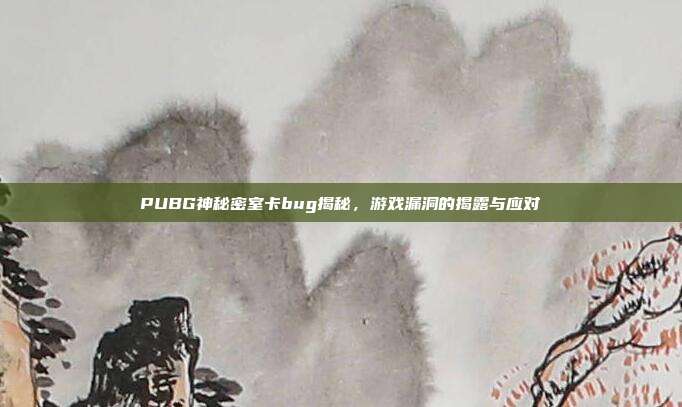 PUBG神秘密室卡bug揭秘,游戏漏洞的揭露与应对