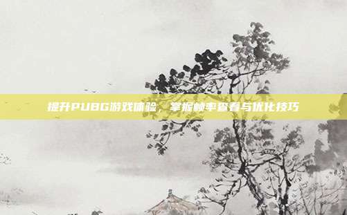 提升PUBG游戏体验,掌握帧率查看与优化技巧
