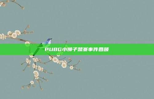PUBG小狮子禁赛事件回顾