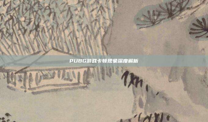 PUBG游戏卡顿现象深度解析