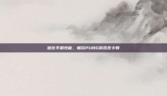优化手机性能,畅玩PUBG游戏无卡顿