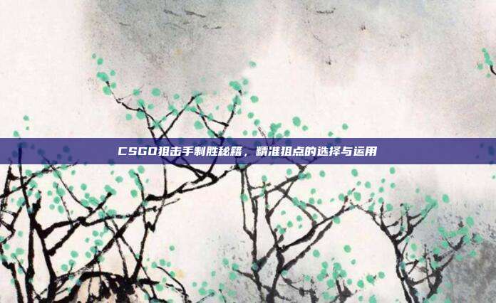 CSGO狙击手制胜秘籍,精准狙点的选择与运用