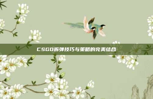 CSGO拆弹技巧与策略的完美结合
