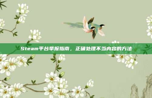 Steam平台举报指南,正确处理不当内容的方法