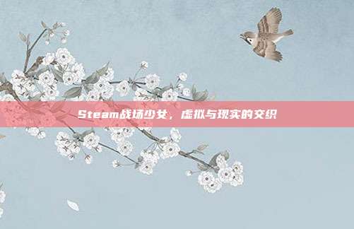 Steam战场少女,虚拟与现实的交织