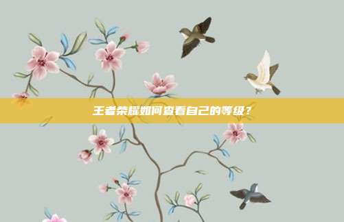 王者荣耀如何查看自己的等级?