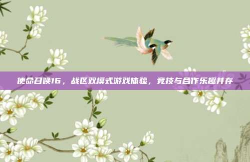 使命召唤16,战区双模式游戏体验,竞技与合作乐趣并存