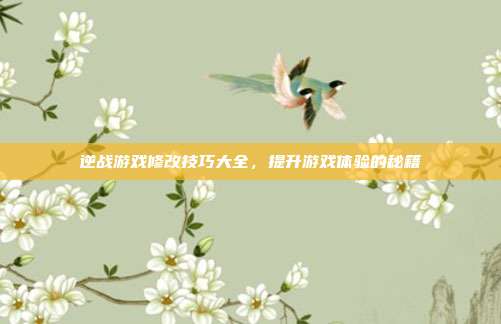 逆战游戏修改技巧大全,提升游戏体验的秘籍