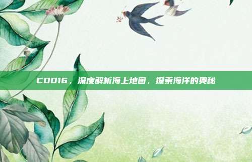 COD16,深度解析海上地图,探索海洋的奥秘