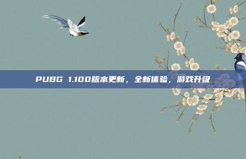 PUBG 1.100版本更新,全新体验,游戏升级