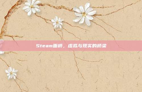 Steam面桥,虚拟与现实的桥梁