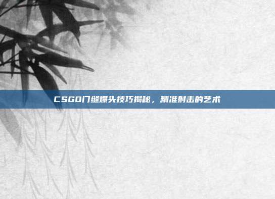 CSGO门缝爆头技巧揭秘,精准射击的艺术