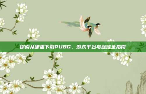探索从哪里下载PUBG,游戏平台与途径全指南