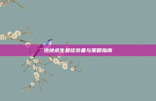 绝地求生最佳装备与策略指南