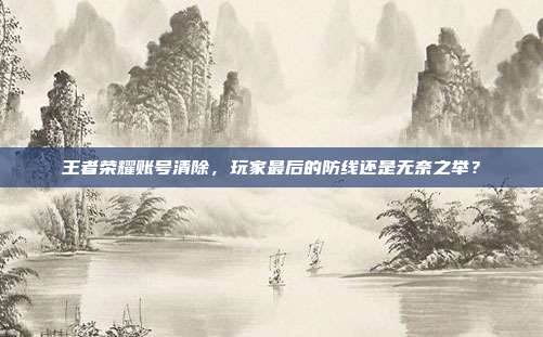 王者荣耀账号清除,玩家最后的防线还是无奈之举?