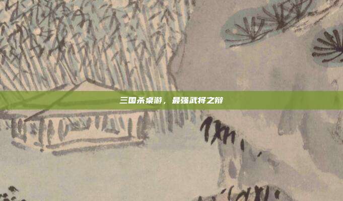 三国杀桌游,最强武将之辩