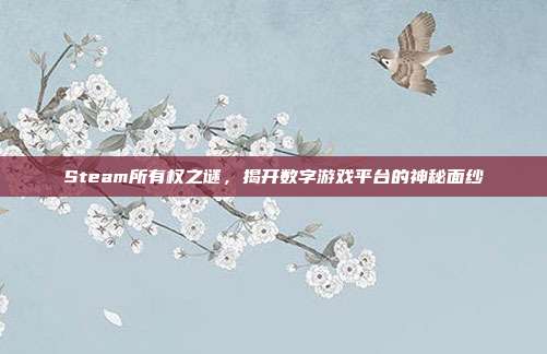 Steam所有权之谜,揭开数字游戏平台的神秘面纱