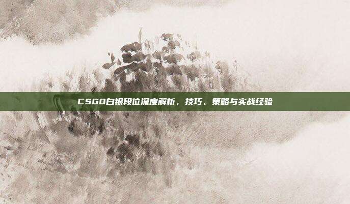 CSGO白银段位深度解析,技巧、策略与实战经验
