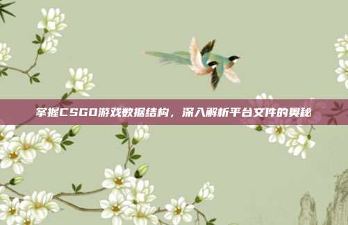 掌握CSGO游戏数据结构,深入解析平台文件的奥秘