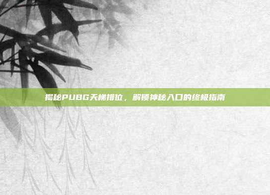揭秘PUBG天梯排位,解锁神秘入口的终极指南
