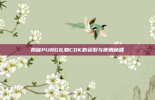 揭秘PUBG礼物CDK的获取与使用秘籍