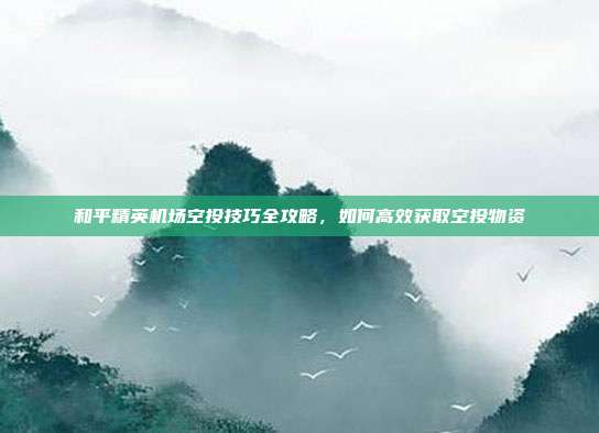 和平精英机场空投技巧全攻略,如何高效获取空投物资
