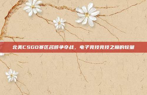 北美CSGO赛区名额争夺战,电子竞技竞技之巅的较量