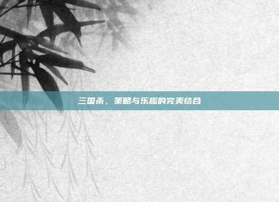 三国杀,策略与乐趣的完美结合