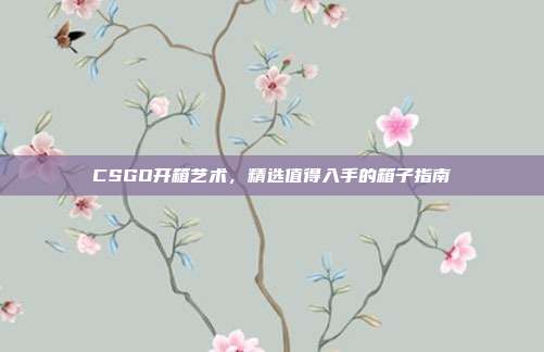 CSGO开箱艺术,精选值得入手的箱子指南