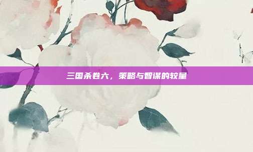 三国杀卷六,策略与智谋的较量